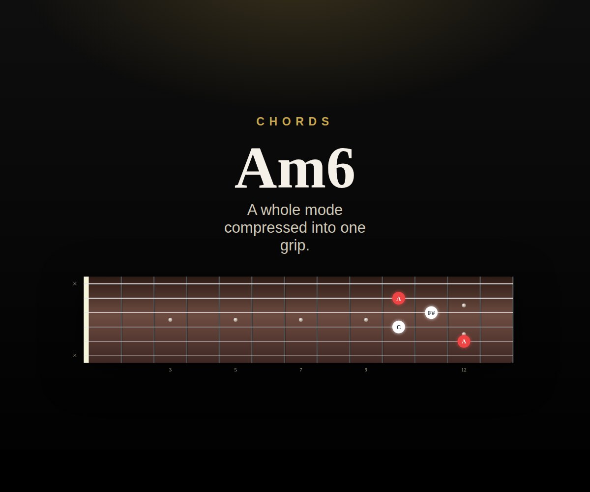 Am6 cover