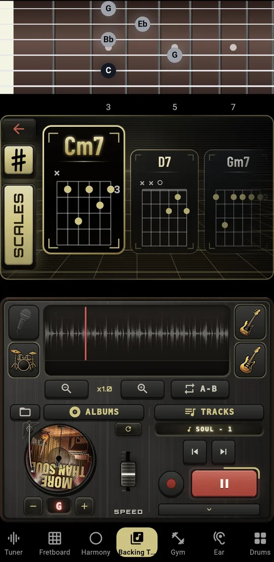 Song chords in the More Than Modes app
