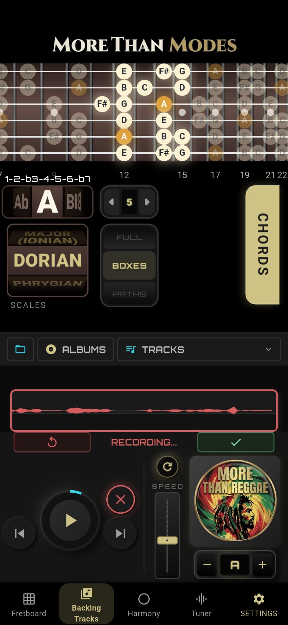 Loop Recorder